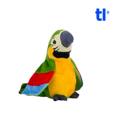Talking Parrot